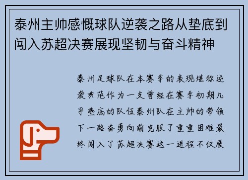 泰州主帅感慨球队逆袭之路从垫底到闯入苏超决赛展现坚韧与奋斗精神